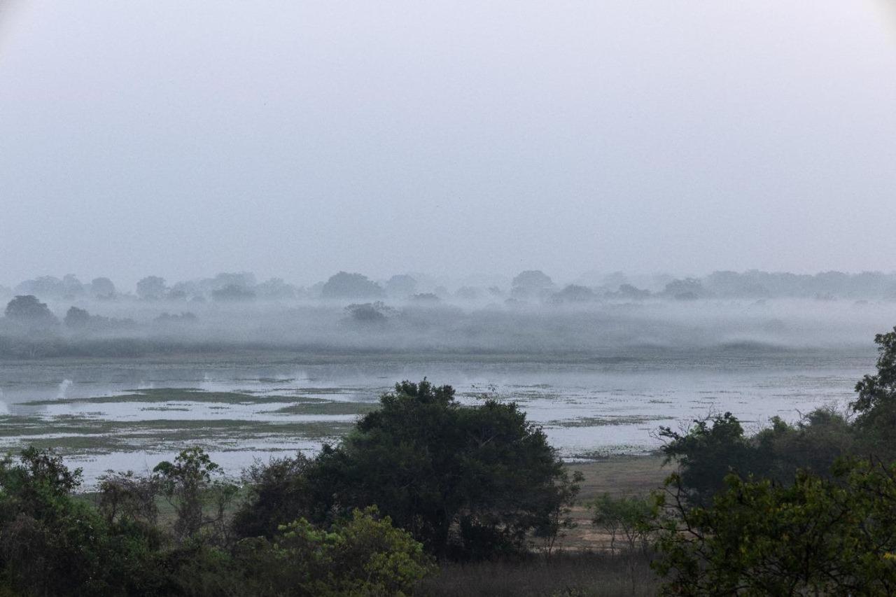 Thimbiri Wewa Resort Wilpattu Buitenkant foto